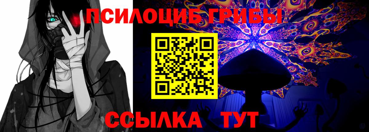 Галлюциногенные грибы Magic Shrooms Сафоново